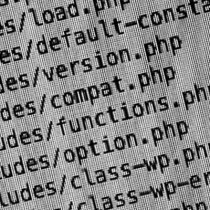 WordPress includes output