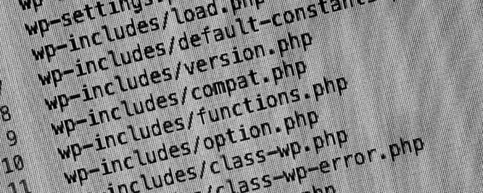 WordPress includes output
